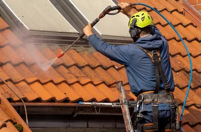 Démoussage et hydrofuge de toiture à Dry